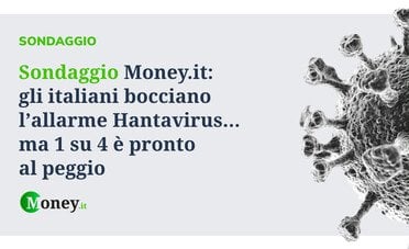 Sondaggio Money.it: gli italiani bocciano l'allarme Hantavirus… ma 1 su 4 è pronto al peggio