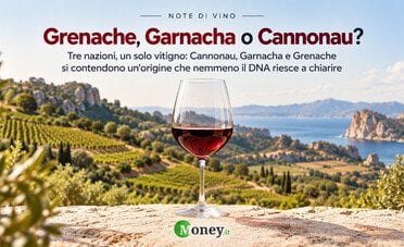 Grenache, Garnacha o Cannonau? Il vitigno mediterraneo che unisce Francia, Spagna e Italia