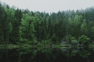 Cervi e cascate da sogno. Puoi ammirarli in questo parco naturale a 3 ore da Roma