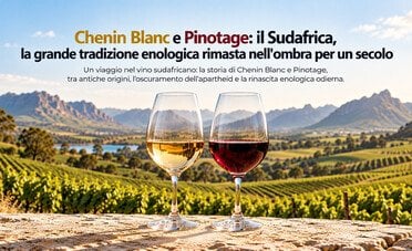 Chenin Blanc e Pinotage. Il Sudafrica, la grande tradizione enologica rimasta nell'ombra per un secolo
