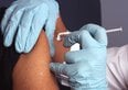 Vaccino Hantavirus in fase di sviluppo (per ora ci guadagna solo Moderna)	