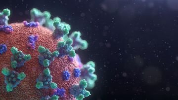 Centaurus arriva in Italia: dopo Omicron il Covid si evolve ancora, ecco come