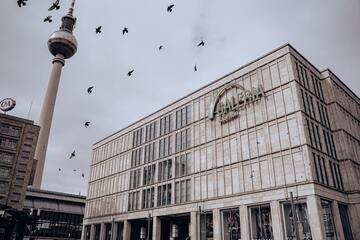 Il mistero degli 11mila uccelli morti in Germania: si teme una nuova epidemia