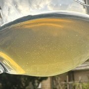 Cinque vini italiani da assaggiare almeno una volta nella vita