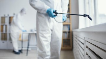 I probiotici uccidono il Covid: la nuova scoperta per sanificare le superfici