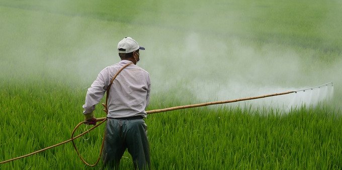 Trovato un pesticida che fa male a neonati e bambini: stop negli USA