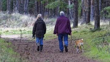 Nuove regole per chi viaggia con cani e gatti, cambia tutto da aprile 2026