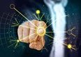 Il futuro del trading tra blockchain, intelligenza artificiale e automazione avanzata
