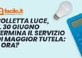 Bolletta luce, il 30 giugno termina il servizio di maggior tutela: e ora?
