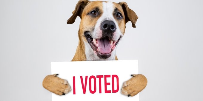 Posso andare a votare con il cane?