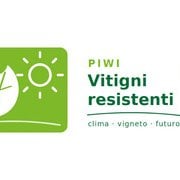Vitigni resistenti e ibridi PIWI. Il futuro (internazionale) del vino nell'era del climate change