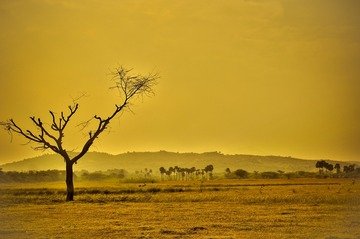 Questo Paese senza fiumi, laghi e pioggia, ha trovato il modo di dare acqua a 40 milioni di persone utilizzando il petrolio