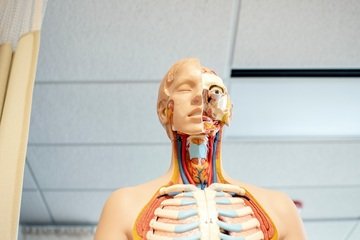 Tolc Med: cosa significa, come funziona e date del nuovo test di Medicina