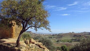 Bonus agricoltura e taglio dei tassi di interesse fanno aumentare i guadagni