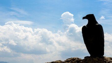 Apologia del fascismo, quando è reato e cosa rischia chi inneggia a Mussolini