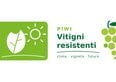 Vitigni resistenti e ibridi PIWI. Il futuro (internazionale) del vino nell'era del climate change