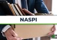 Naspi con le dimissioni per giusta causa, la guida per non perdere la disoccupazione