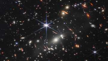 A 27 anni ha lasciato il lavoro e ha fondato un “ranch” con 550 telescopi in Texas