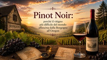 Pinot Noir: perché il vitigno più difficile del mondo affascina dalla Borgogna all'Oregon