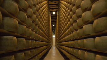 Degustazione formaggi: l'esperienza gastronomica si fa digitale