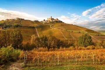 Bonus agricoltura 2025, fino a 16.000 euro a ettaro per questa coltivazione