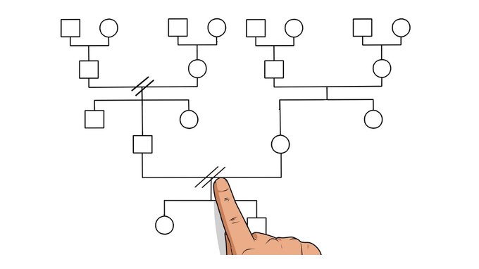 Parenti di primo e secondo grado, chi sono?