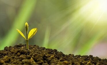 Trading e sostenibilità, l'impatto della tecnologia su energia e risorse