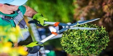 Quanto guadagna un giardiniere? Stipendio e mansioni