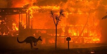Incendi Australia, cosa sta succedendo? I motivi della catastrofe