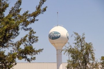 Anche Pfizer punta ai farmaci anti-obesità. Trattative da $7,3 miliardi in corso