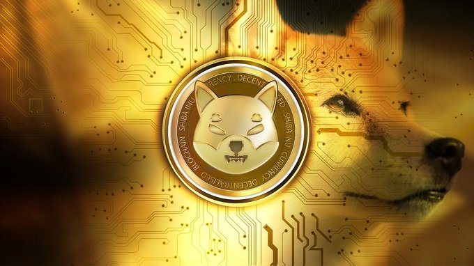 Shiba Inu debutta nel mondo della moda 