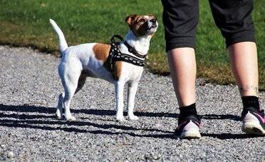 Cosa si può fare nonostante le nuove restrizioni