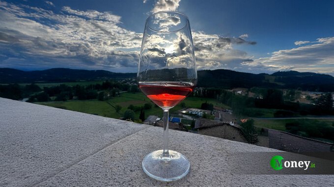 Duro colpo per i vini francesi. Sono un concentrato di pesticidi e solfiti