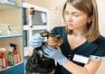 Cosa fare se non si hanno i soldi per il veterinario?
