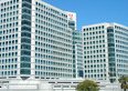 Azioni Adobe, seconda bocciatura in tre mesi. Wells Fargo passa a «underweight» nonostante i conti record del terzo trimestre