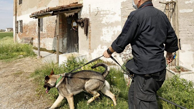 Agricoltura, intensificati i controlli dei Carabinieri. Ecco a cosa stare attenti