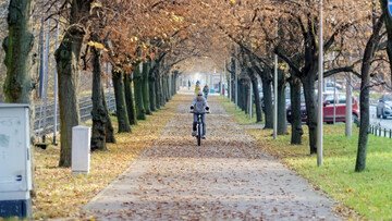 Giornata mondiale senza auto 2026. Quanto si risparmia rinunciando alla macchina?
