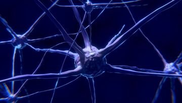 Neuropricing, la scienza dietro i prezzi che ti convincono a comprare