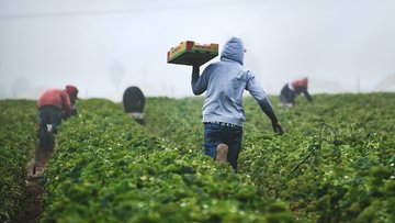 Bonus agricoltura ZES, ecco il codice per richiederlo