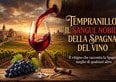 Tempranillo, il sangue nobile della Spagna del vino