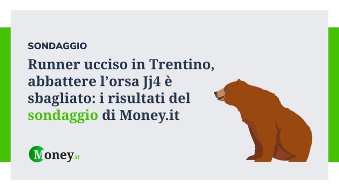Runner ucciso in Trentino, abbattere l'orsa Jj4 è sbagliato: i risultati del sondaggio