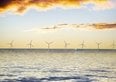 Transizione energetica a rischio in Germania? L'AfD vuole imporre limitazioni all'eolico