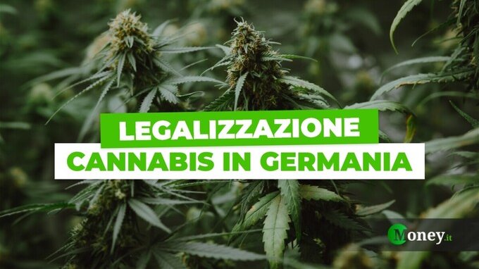 La cannabis salverà la Germania? Da aprile sarà legale