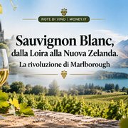 Sauvignon Blanc, dalla Loira alla Nuova Zelanda. La rivoluzione di Marlborough