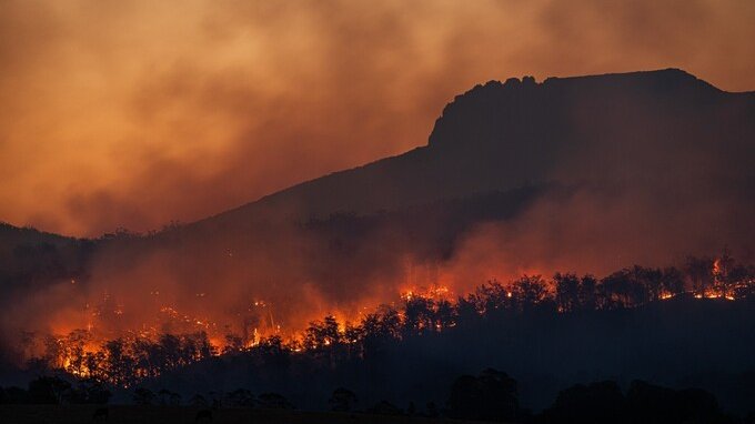 Terreni incolti e prevenzioni incendi: ecco quanto si rischia di sanzioni 