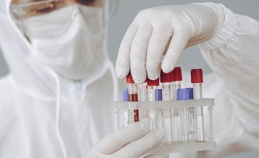 Cos'è l'hantavirus e quali sono i sintomi della malattia trasmessa dai topi