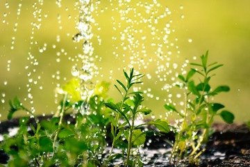Come funzionano i nuovi certificati di decarbonizzazione?