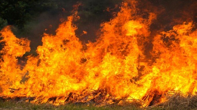 Incendi e deforestazioni, Amazzonia da polmone verde a produttore di CO2