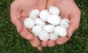 Come richiedere il risarcimento danni da grandine e maltempo