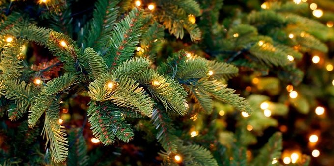 Luci dell'albero di Natale pericolose? Ecco a cosa fare attenzione e regole per la sicurezza